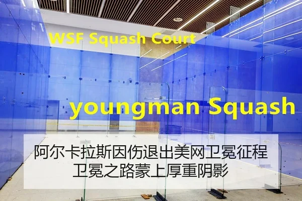 a-er-ka-la-si-yin-shang-tui-chu-mei-wang-wei-mian-zheng-cheng-wei-mian-zhi-lu-meng-shang-hou-zhong-yin-ying-2-651.jpg